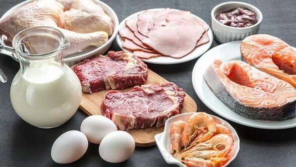 pros and cons of protein diets