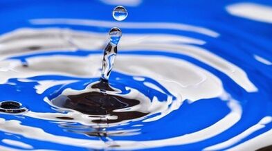 The essence of diet for weight loss