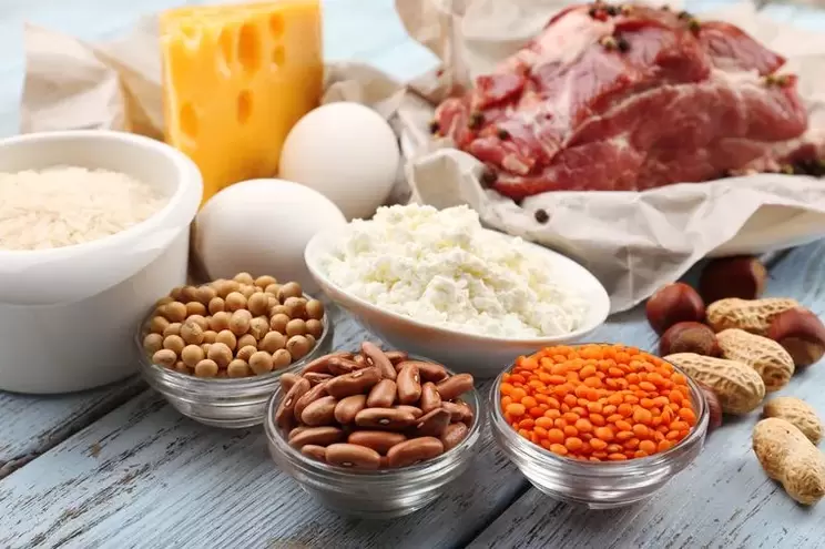products for protein diet